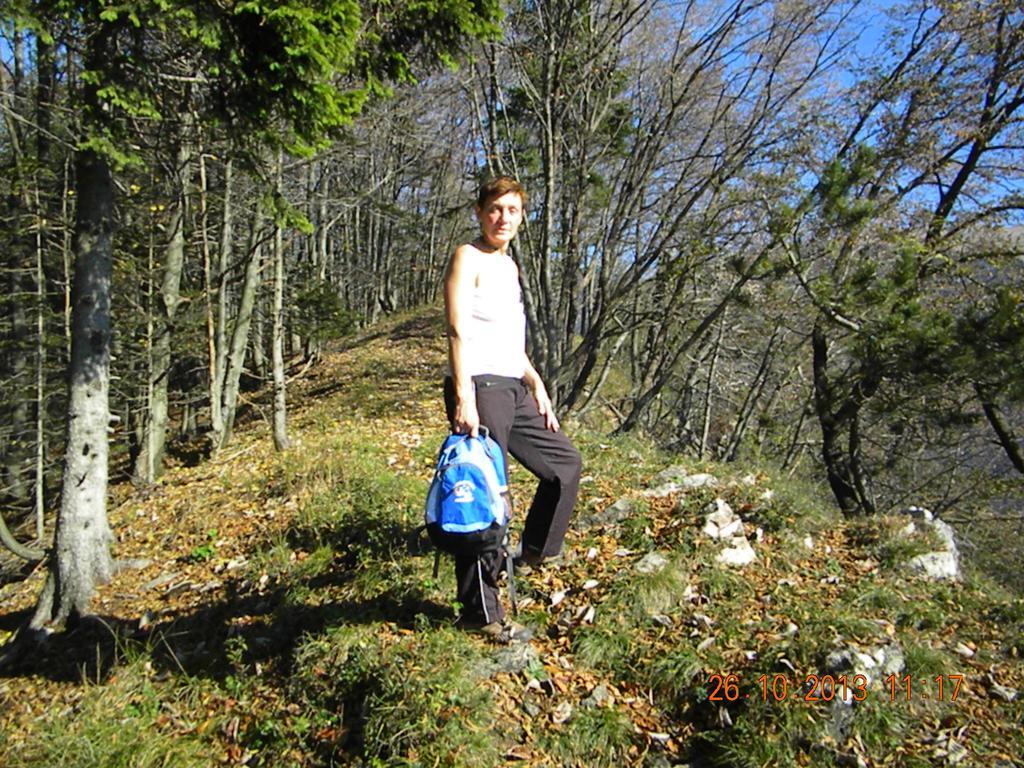 Studio Jesenice Exteriör bild